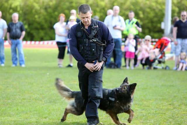 West Yorkshire Police Community Fun Day at Spring Hall, Halifax.
Dog handler PC John Leak with Kes.