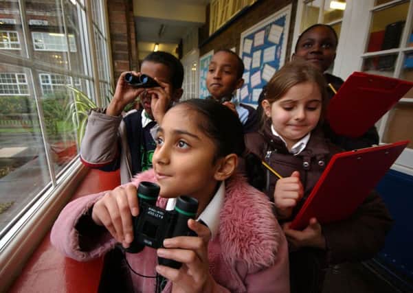 The RSPB Big Schools Birdwatch runs from January 2 to February 23. Picture: David McHugh (rspb-images.com)