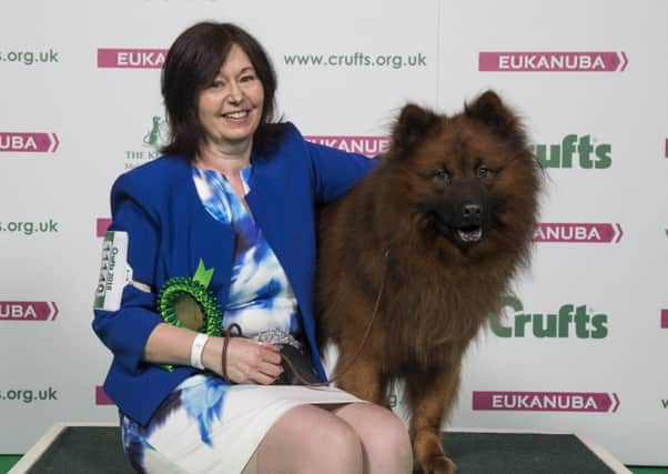 20180310 Copyright Flick.digital
Free for editorial use image, please credit: Flick.digital


Picture shows Tracy Hopkinson from Featherstone with Odin a Eurasier, which was the Best of Breed winner today, (Saturday 10.03.18), the third day of Crufts 2018, at the NEC Birmingham.

Crufts is the world's greatest dog show and this year will see more than 21,000 healthy, happy dogs competing for the coveted 'Best in Show' title as well as taking part in the many other competitions that take place at the show, from Agility and Flyball to the hero dog competition Eukanuba Friends for Life and Scruffts Family Crossbreed of the Year. Crufts 2018 runs from the 8th to the 11th March at the NEC, Birmingham.

Crufts is the perfect opportunity for dog lovers meet around 200 breeds of dog, find out how to go about getting a dog, and to find out about activities and competitions they can get involved in with their own dog.

For further images, please go to: www.Flick.media/crufts_2018/

For more information please contact t