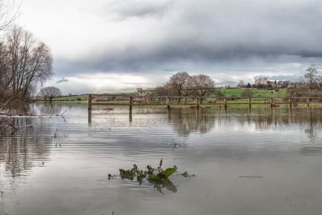 water: Flooded Sandal fields by Kevin Pearson of Eternity Photo Ltd.