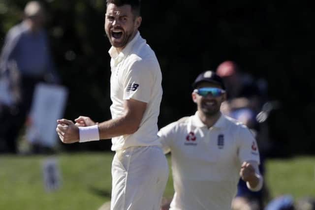 Still going strong: England's James Anderson celebrates after taking the wicket of New Zealand's Henry Nicholls.