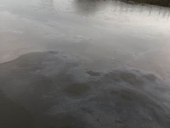 Oil spill in the River Aire - picture by Environment Agency.