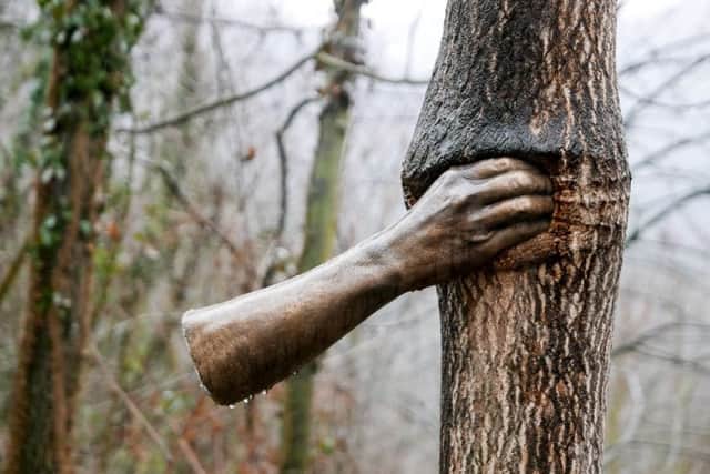 ContinuerÃ  a crescere tranne che in quel punto_2004_cod1250 - mano di bronzo installata in un albero (Ailanthus altissima), bosco San Raffaele Cimena - foto febbraio 2015