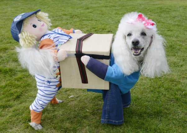 Get your pooch dressed up for the fancy dress competition.