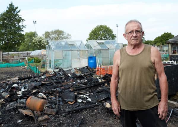 Gutted: Stanleys Balls shed and allotment were burned to the ground.