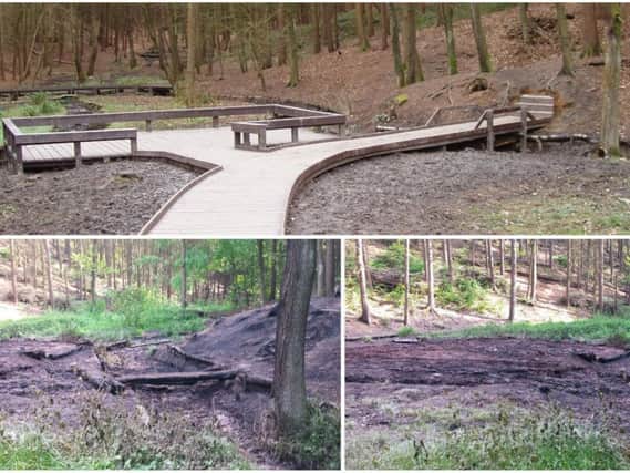 Around 100m of the boardwalk at Newmillerdam Country Park has been destroyed by arsonists.